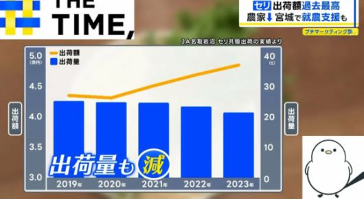 일본 TBS방송이 공개한 2019~2023년 일본 내 미나리 출하액(노란색 선 그래프)과 출하량(파란색 막대그래프) 통계. TBS 방송 화면 캡처