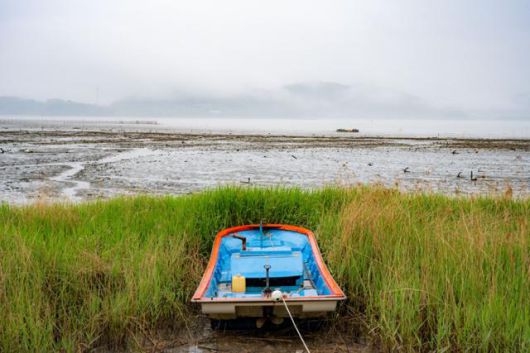 우도의 해안에 작은 배 한 척이 묶여 있다.