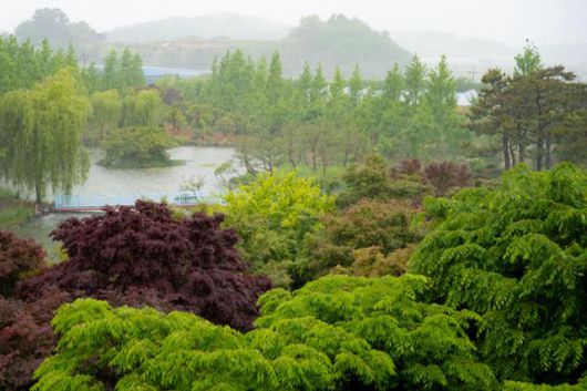 전남 고흥군 금세기정원의 수변 공원.