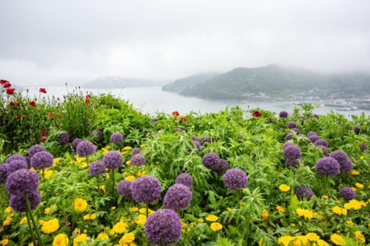 전남 고흥군 쑥섬 공중정원 뒤로 나로도가 보이고 있다.