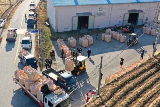 전북 임실군 미곡창고 앞에 2020년산 공공비축미곡 매입 관련 쌀을 실은 차들이 줄지어 서 있다. 임실군청