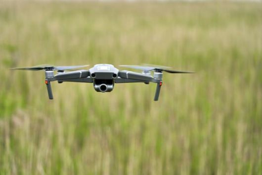 게티이미지뱅크