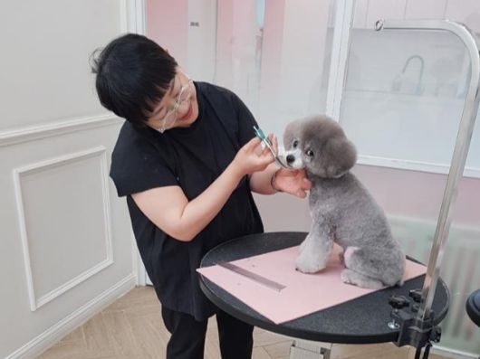 반려동물 미용사 김윤지씨가 반려견 미용을 하는 모습. 김윤지씨 제공