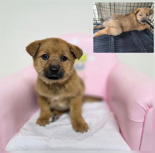 구조 직후 애순이. 라이프 제공