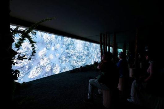 두나무가 5월 22일부터 서울 동작구 보라매공원에서 열린 ‘2025 서울국제정원박람회’에 맞춰 조성한 ‘디지털 치유정원' 내 컨테이너 부스 안 벽면에 조명을 비춰 영상을 표현하는 ‘미디어 파사드’(Media Facade)로 겨울철 자연 경관이 나타나고 있다. 두나무 제공