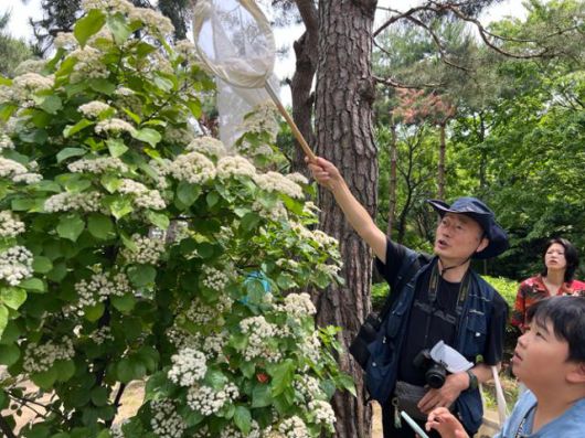 이흥식 농림축산검역본부 농업 연구관 겸 벌 연구모임인 벌볼일있는사람 공동대표가 시민들에게 벌을 소개하기 위해 뜰채로 벌을 잡고 있다. 고은경 기자
