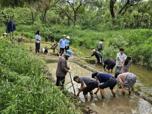 여의도샛강생태공원에서 시민들이 공원을 가꾸는 모습. 샛강시민위원회 제공
