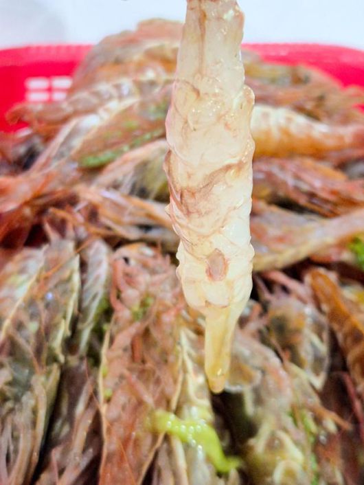 가시진흙새우의 살.