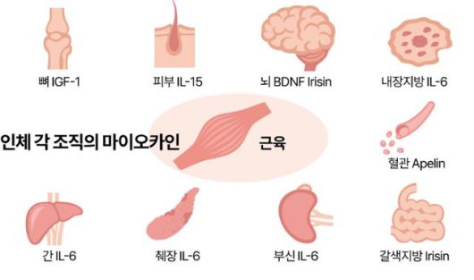 그래픽=송정근