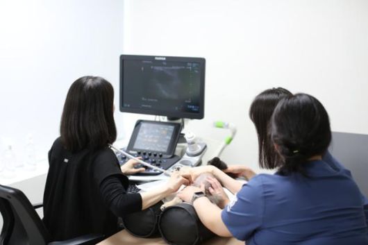 SNU반려동물검진센터 수의사들이 자료를 보고 있는 모습. SNU반려동물검진센터 홈페이지 캡처