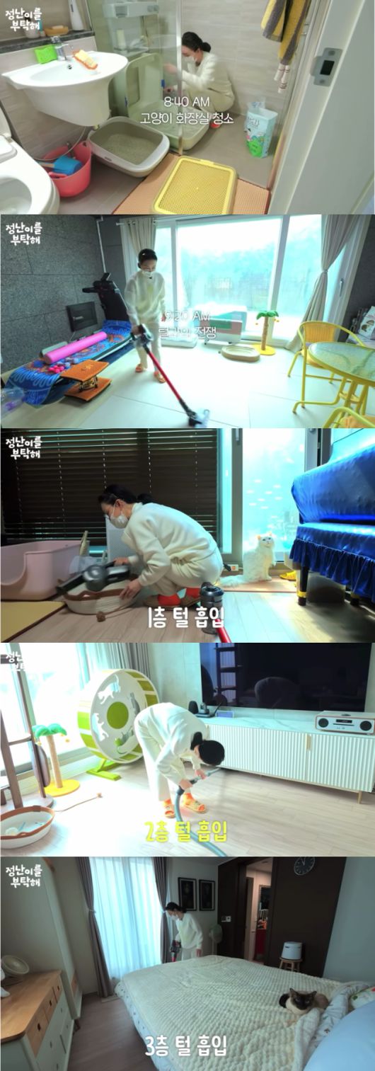 고양이 털 정리를 위해 청소기를 돌리고 있는 배우 김정난. 유튜브 '정난이를 부탁해' 캡처