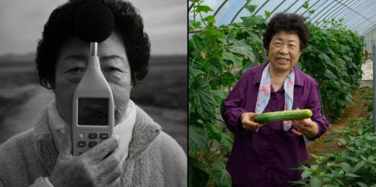 당산리 주민 조경자씨는 7개월 만에 다시 만난 기자에게 직접 농사 지은 오이와 감자를 내밀었다. 조씨는 “요즘은 검은콩, 메주콩, 파란콩, 들깨 심느라 바쁜 철이다”라며 “요란했던 세월을 생각하면 가끔 머리가 지끈거리지만, 그래도 지금은 아주 살만하다”라고 말했다. 강화=하상윤 기자