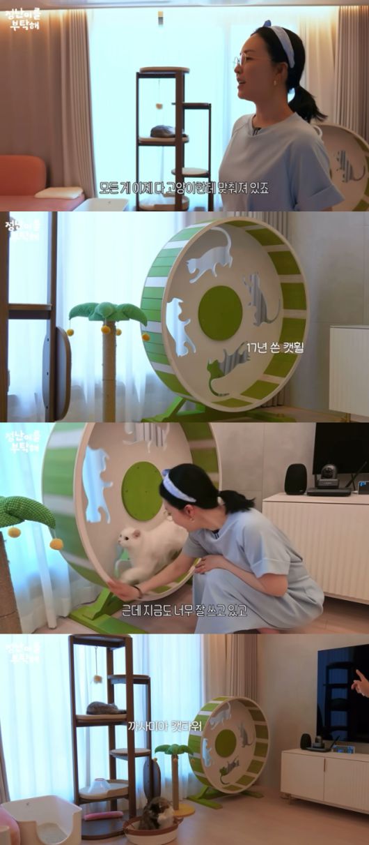 배우 김정난이 공개한 거실. 인테리어가 고양이의 생활 반경에 맞춰져 있다. 유튜브 '정난이를 부탁해' 캡처