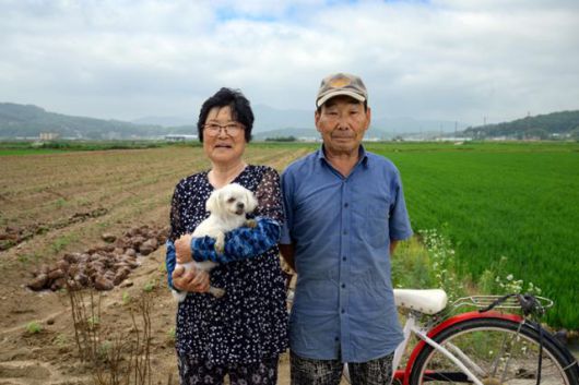 강화군 송해면 주민 안금자(왼쪽)·이용호씨 부부가 철책 아래 들녘에서 서리태 모종을 심던 중 사진 촬영에 응했다. 한해 전 귀농한 막내 아들네와 함께 농사를 짓고 있는 안씨는 강아지(콩이) 데리고 나와서 새소리 들으며 흙 밟고 있는 지금 이 시간이 평화롭게 느껴진다라며 “계속 오늘만 같았으면 좋겠다”라고 말했다.