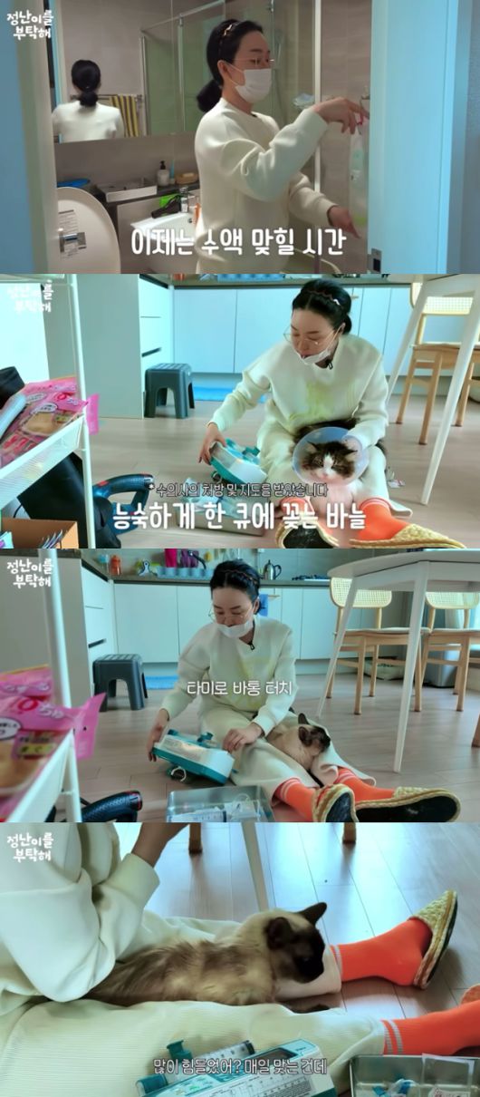 배우 김정난이 반려묘에게 수액을 맞히고 있는 모습. 유튜브 '정난이를 부탁해' 캡처