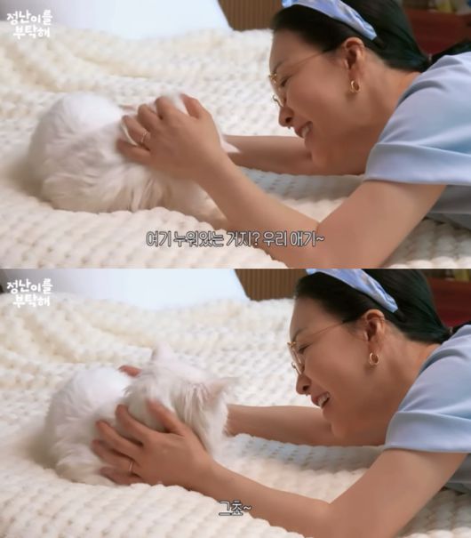 배우 김정난이 반려묘를 쓰다듬고 있다. 유튜브 '정난이를 부탁해' 캡처