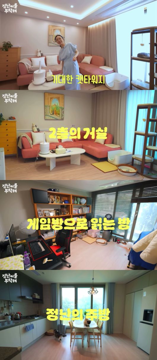 거대한 캣타워라고 소개하는 배우 김정난의 집. 어디를 찍어도 숨어있는 고양이가 보인다. 유튜브 '정난이를 부탁해' 캡처