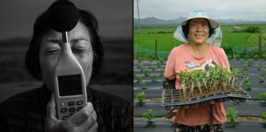 약 반년 만에 다시 만난 당산리 주민 김옥순씨는 한 뼘쯤 자라난 서리태 모종을 들고 서서 바람 소리, 새 소리, 라디오 소리 들으며 들에 나와 있는 이 시간이 너무너무 감사하고 행복하다라고 말했다. 강화=하상윤 기자