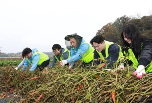 윤병운(가운데) NH투자증권 사장과 임직원들이 지난해 11월 경기 파주시 문산읍 당동2리 농가 지역을 방문해 고추대 철거 작업을 하고 있다. NH투자증권 제공