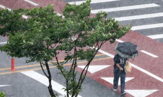 연일 찜통더위가 이어지고 있는 8일 전북 완주군 삼봉로 일원에 소나기가 쏟아지고 있다. 뉴스1