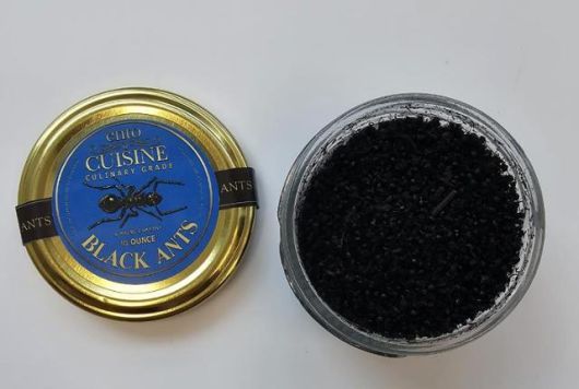 A씨의 레스토랑이 요리에 사용해 온 미국산 식용 개미. 식품의약품안전처 제공