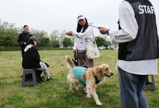 서울 영등포구 여의도동 한강공원에서 5월 11일 열린 서울시 반려견 순찰대 실습 심사에서 대인·대견 반응 시험이 한창이다. 연합뉴스