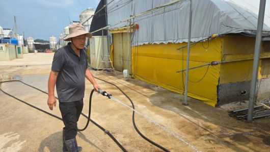 10일 전남 나주시 세지면 한 오리농장에서 농장주 임종근씨가 열을 식히기 위해 축사 주변에 물을 뿌리고 있다. 나주=김진영 기자