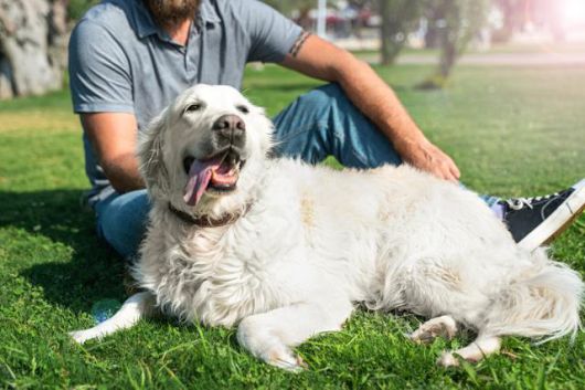 게티이미지뱅크