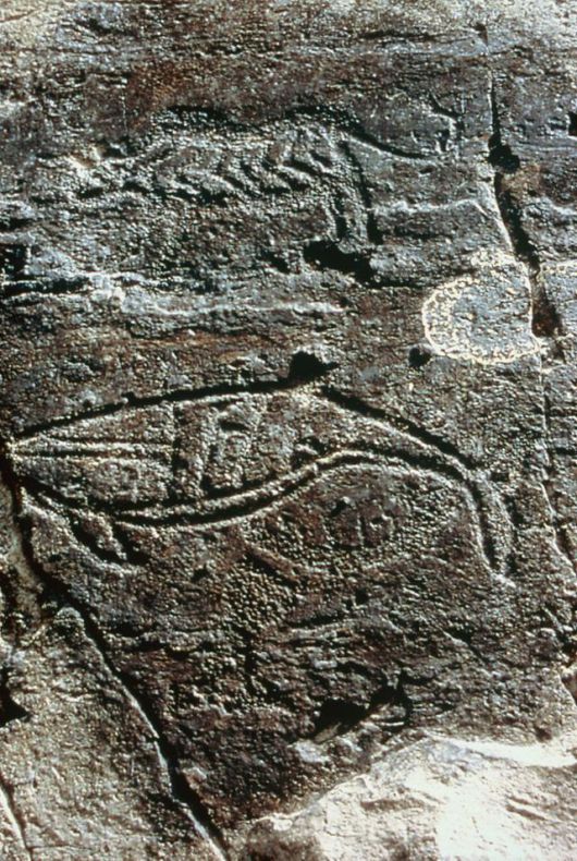 울산 울주군 대곡리 반구대 암각화에 새겨진 고래 형상. 문명대 제공