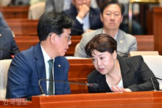송언석(왼쪽) 국민의힘 비상대책위원장 겸 원내대표와 윤희숙 혁신위원장이 9일 국회에서 열린 긴급의원총회에서 대화를 나누고 있다. 정다빈 기자