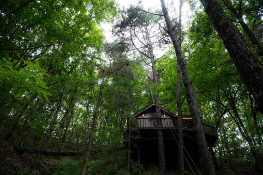 경기 평택시 '트리하우스' 허클베리. 완공 20년이 넘은 부지 내 최고령 트리하우스다.