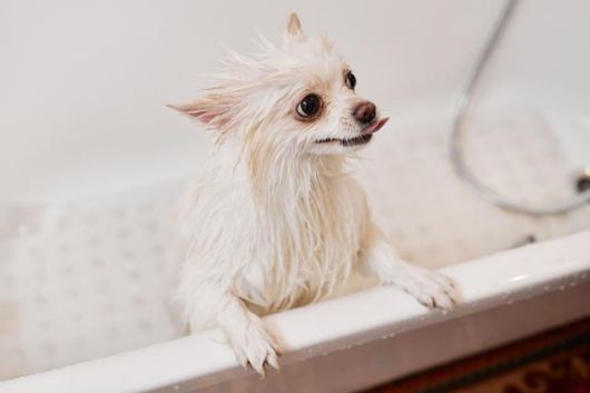 게티이미지뱅크