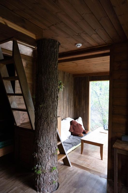 경기 평택시 '트리하우스' 톰소여 내부에 나무 기둥이 솟아 있다.