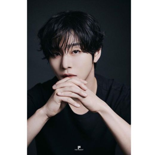 안효섭이 '전지적 독자 시점' 주연을 맡았다. 더프레젠트컴퍼니 제공