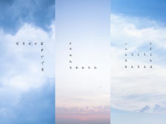 문선희 작가가 날아오르는 비둘기이 모습을 한글 자음으로 배열해 만든 작품. 문선희 작가 제공