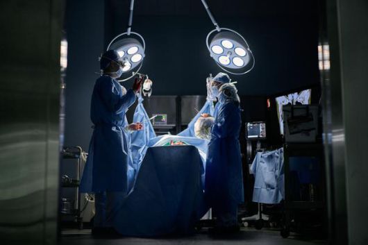 게티이미지뱅크