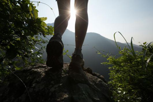 ⓒ게티이미지뱅크