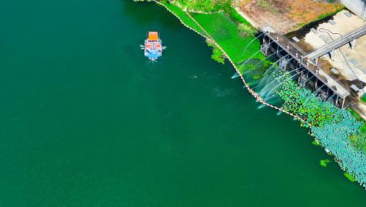 더위가 이어진 지난달 29일 대구 달성군 죽곡취수장 인근 낙동강에 녹조가 발생하여 조류경보 '경계'단계가 발령된 가운데 녹조제거선이 운영되고 있다. 연합뉴스