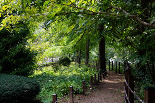 서울대학교 관악(안양)수목원 참나무길의 초입.