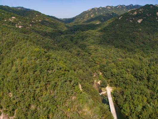서울대학교 관악(안양)수목원이 관악산 전체를 빽빽이 덮고 있다.