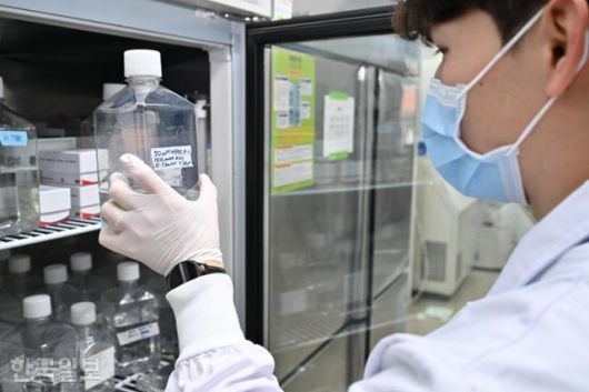 2024년 4월 서울 관악구 서울대 SPC농생명과학및기초과학연구동 실험실에서 한 연구원이 실험을 진행하고 있다(기사의 특정 내용과 관계 없음). 정다빈 기자