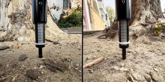 서울 마포구 연남동 일대 플라타너스들의 수목보호틀 내부 토양의 경도는 측정이 불가할 정도로 단단한 상태였다. 수목보호틀 없이 오래도록 방치된 결과다. 수목보호틀은 가로수에 인접한 토양 위로 가해지는 답압을 막아주는 역할을 한다. 표토에 답압이 누적되면 미세한 토양 입자들 사이의 공극이 사라져, 물과 산소가 뿌리까지 도달하지 못한다. 하상윤 기자