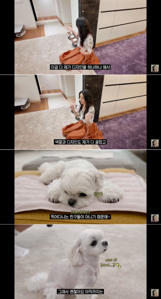 '매일 맥주 마시면서 52kg 유지하는 반백살 한고은 근황 (청담동 집, 남편, 30년 차 견주의 삶)' @유튜브 고은언니 한고은 캡처