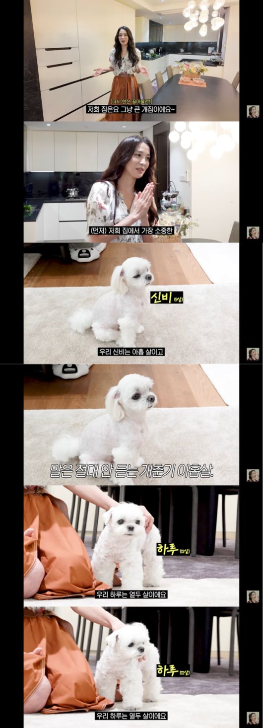 '매일 맥주 마시면서 52kg 유지하는 반백살 한고은 근황 (청담동 집, 남편, 30년 차 견주의 삶)' @유튜브 고은언니 한고은 캡처