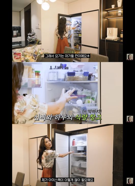 '매일 맥주 마시면서 52kg 유지하는 반백살 한고은 근황 (청담동 집, 남편, 30년 차 견주의 삶)' @유튜브 고은언니 한고은 캡처