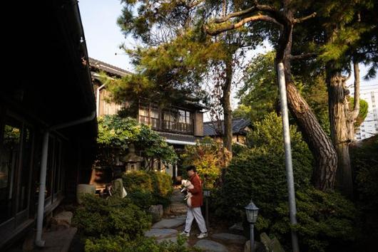 신흥동 일본식 가옥 내부 정원은 밀도 있게 꾸며져 있다.