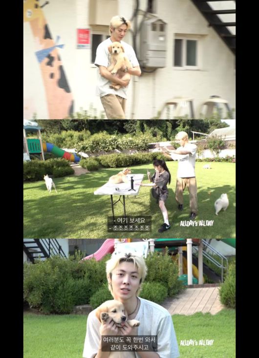 온몸으로 봉사활동을 진행한 우찬 @ ALLDAY's ALL DAY '애니와 우찬의 유기견 봉사 일지' 캡처