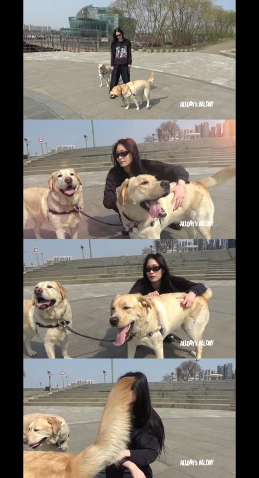 쓰리샷 촬영에 협조해 주지 않는 에코와 코다 @ ALLDAY's ALL DAY '애니와 리트리버들' 캡처