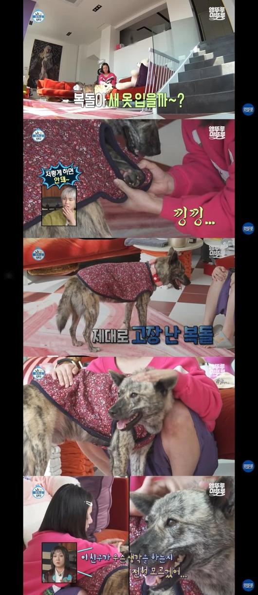 반려견 '복돌이'에게 새 옷을 입히는 박나래 씨의 모습. 유튜브 '엠뚜루마뚜루' 캡처