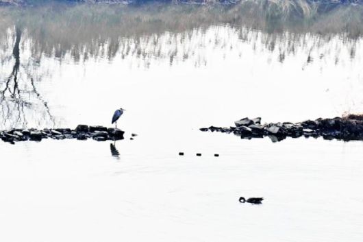정적이 흐르는 우포늪의 겨울은 시간마저 숨을 죽인 조용한 풍경을 만들고 있다. 창녕=왕태석 선임기자